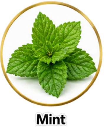 Mint